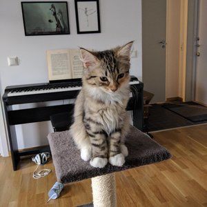 Meet your Posher, Mimi